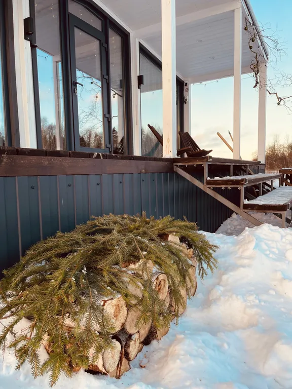 Атмосферный дом у леса