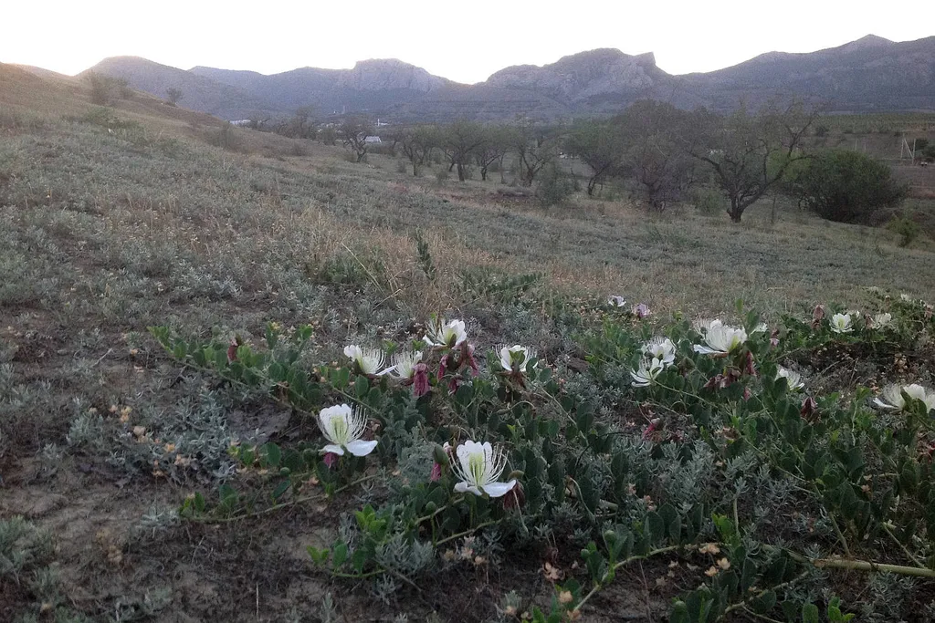 Уютный коттедж с бассейном с морской водой