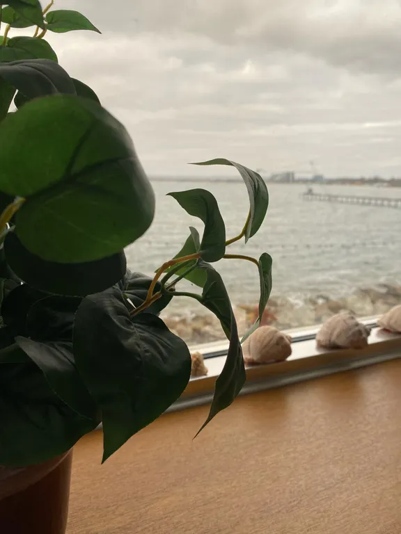 Квартира Апартаменты на берегу моря — Анапа