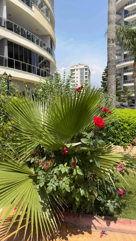 Видовой апартамент на море в центре