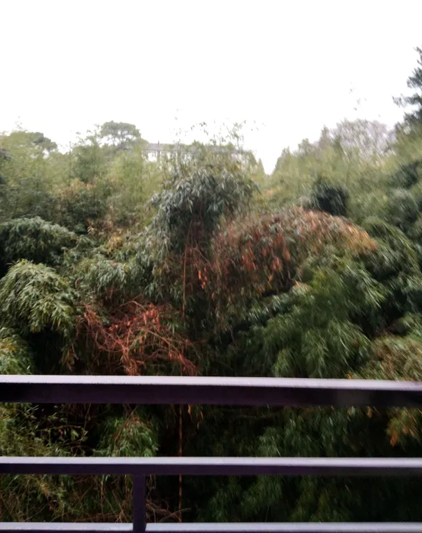 Квартира Квартира Розовая студия — Сириус