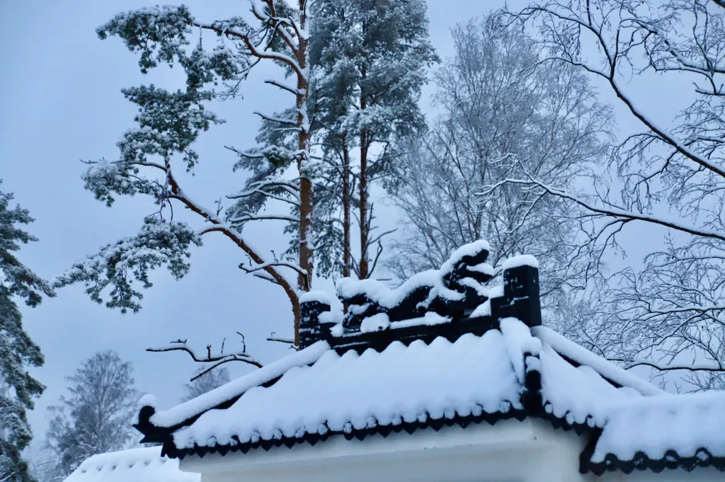 База отдыха Хэйлун Дом №4 Харбин