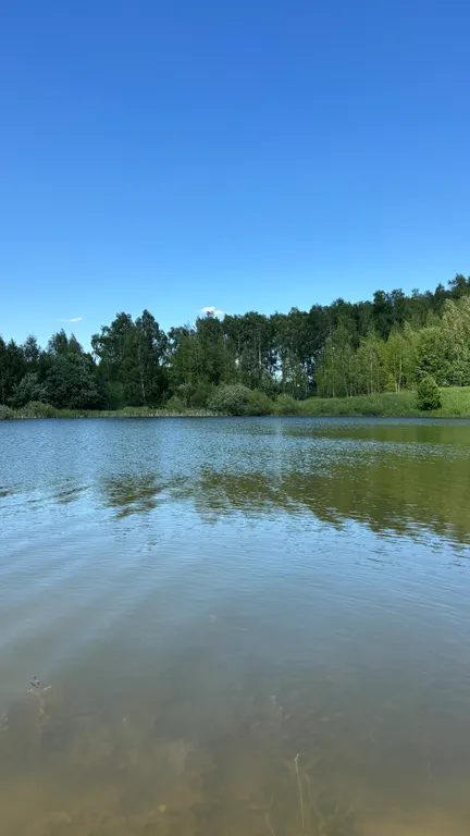 Уютный новый дом с сауной включена в стоимость и видом на озеро и лес