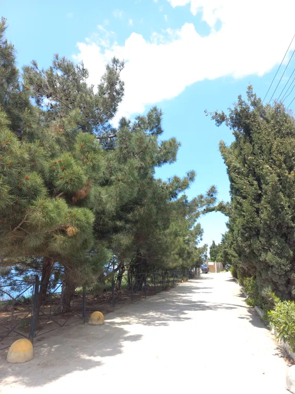 Дача в районе Царское село