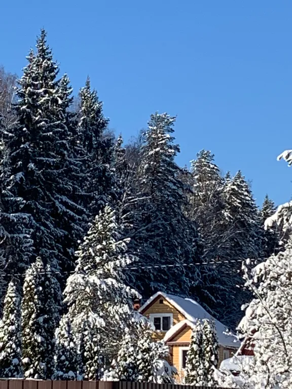 Коттедж Загородный уютный дом с баней и калиткой в лес — Большие Семенычи