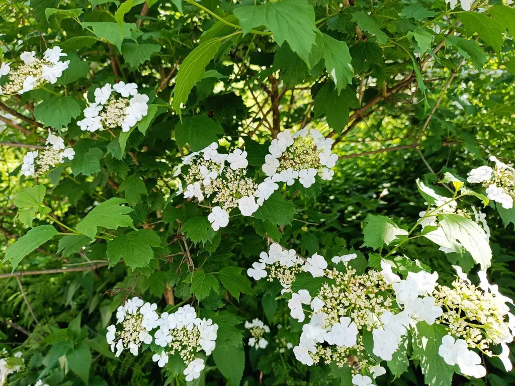 Дом Emirell Altai