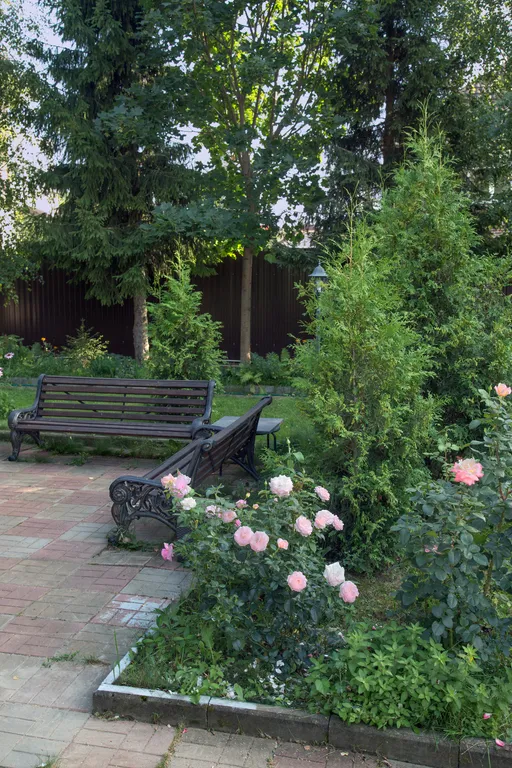 Романтика среди сосен!