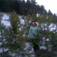Гульнара