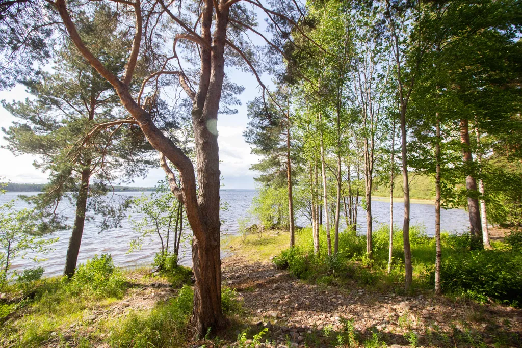 Таунхаус с видом на озеро