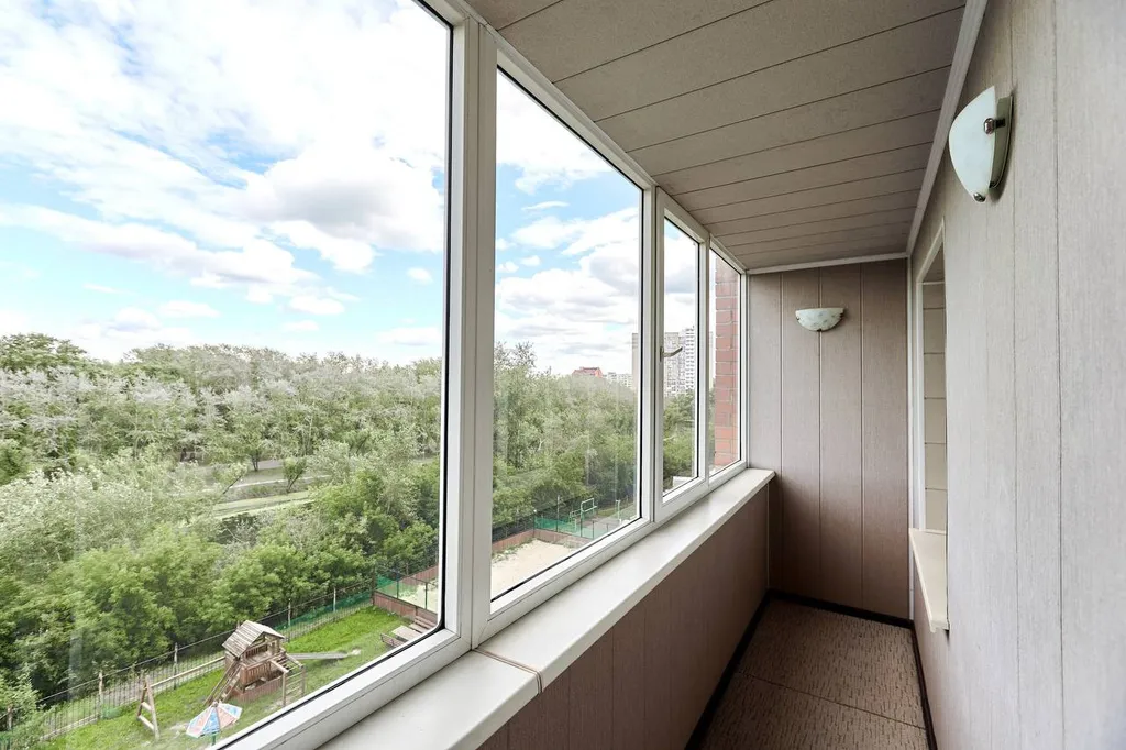 Большая 1-комнатная квартира с видом на парк и реку