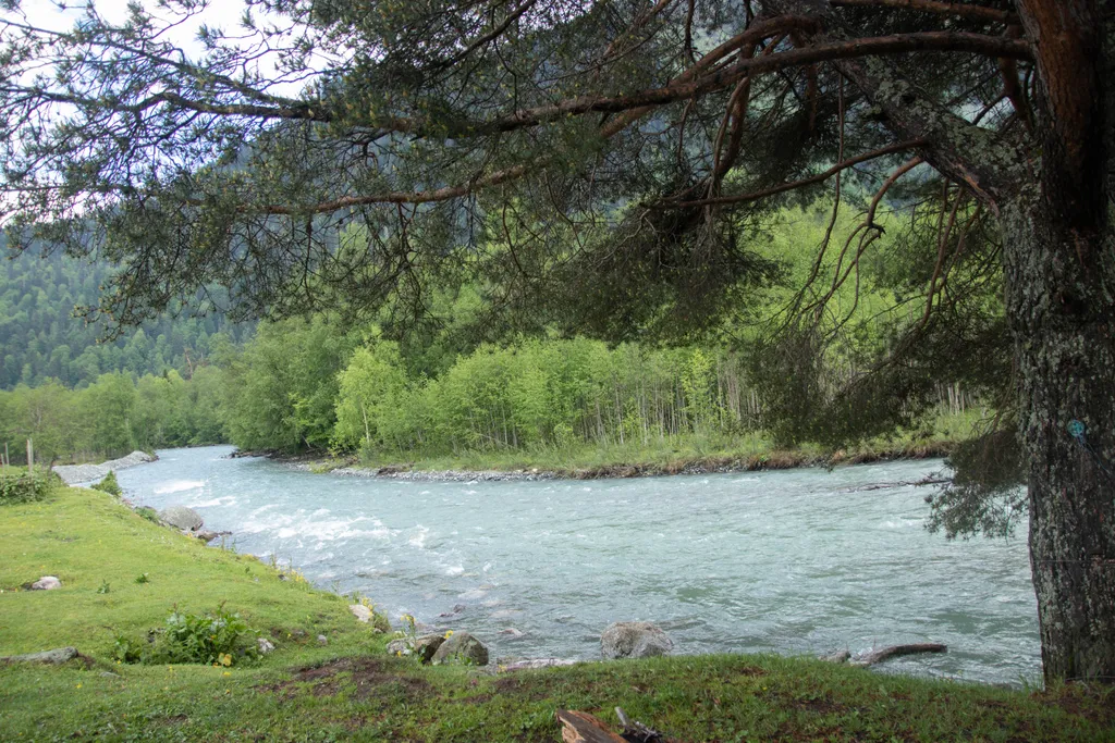 Гостевой дом Артур