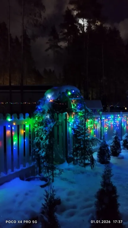 Уютный новый дом в сосновом лесу на берегу Финского залива