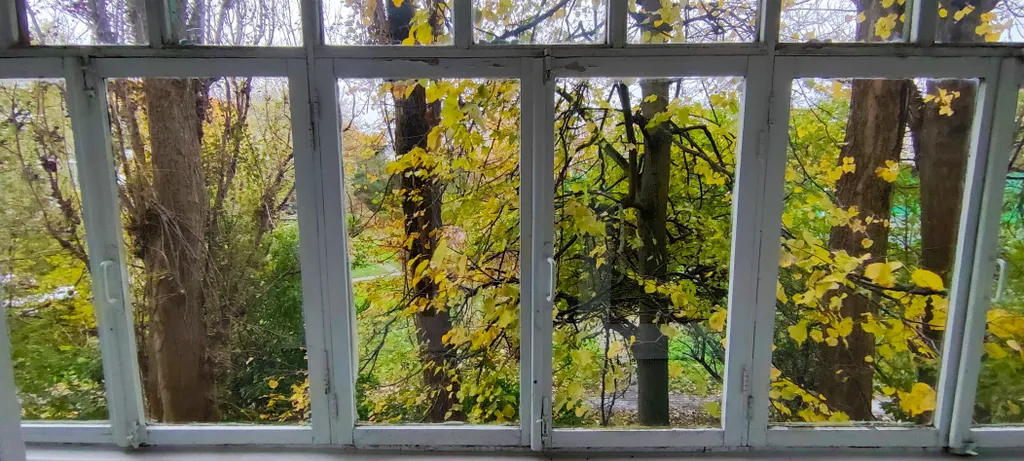 Квартира Уютная квартира у липы — Калининград