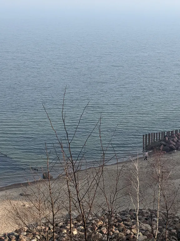 Апартамент с видом на лес