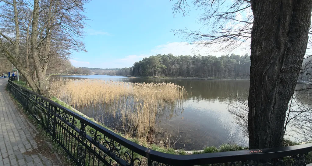 Квартира Уютная квартира у озера Тихого — Светлогорск