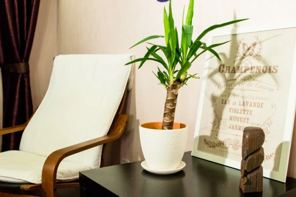 Квартира Гнездо орла, 1-комнатная квартира на ВДНХ — Москва