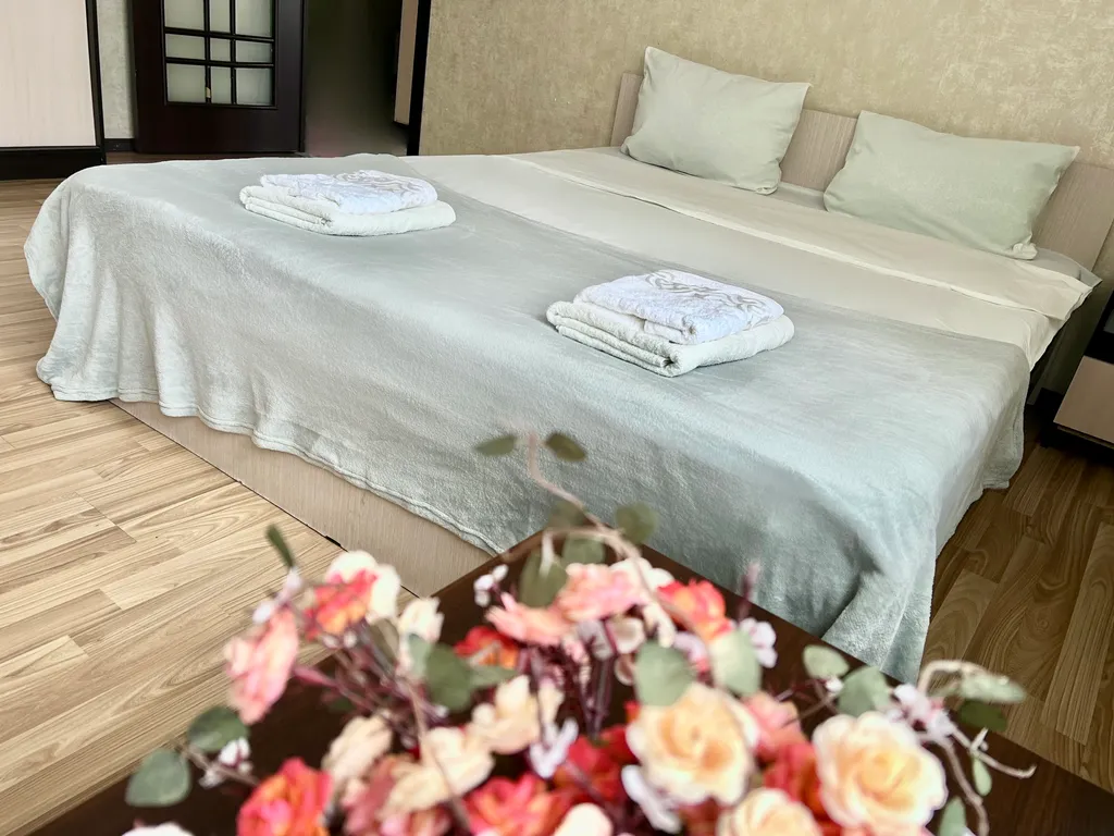 Просторная квартира в центре города с парковкой — аренда посуточно в Калуга