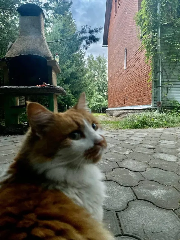 Коттедж Домик между обрывом и маяком — Лебяжье