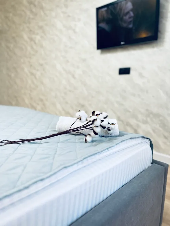 Однокомнатная квартира в центре города