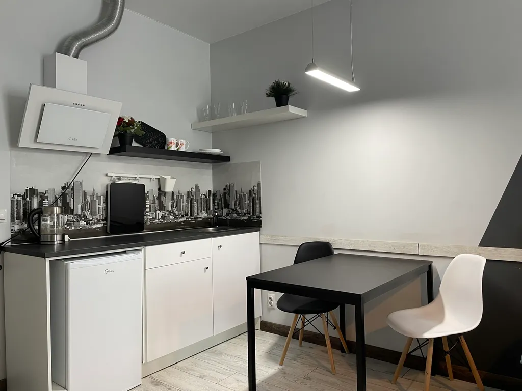 Уютная дружелюбная студия (КакДома на Ленина)