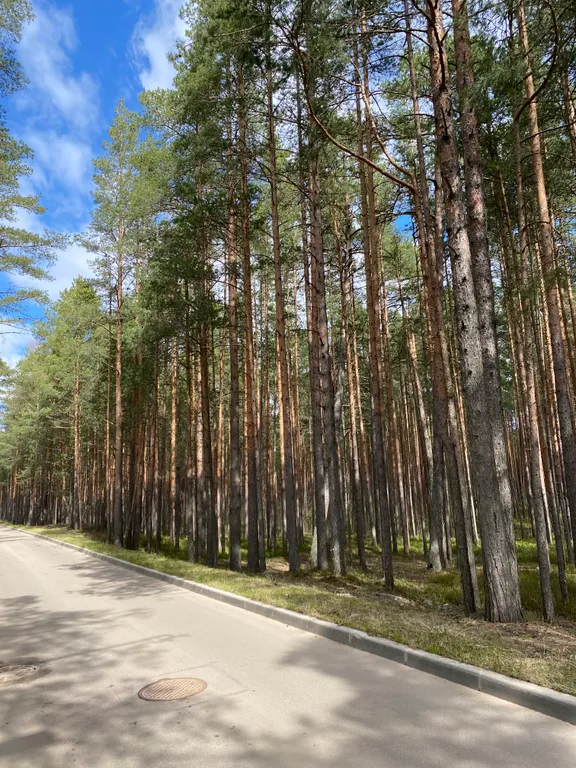 Квартира с террасой у Финского залива