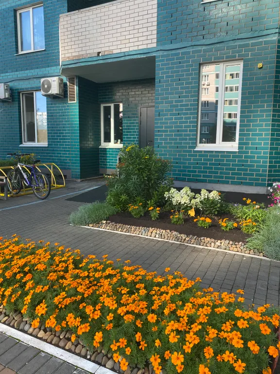 Квартира около зоопарка