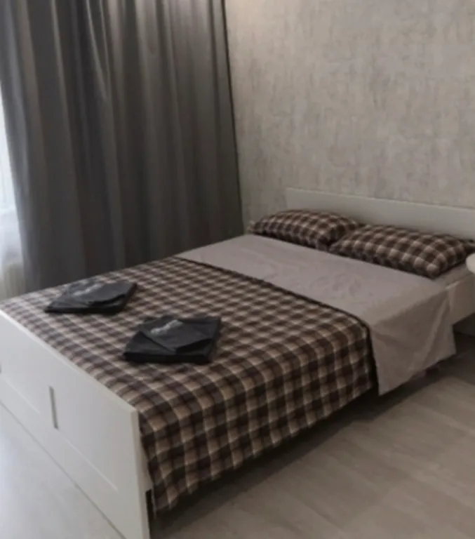 Квартира Просторная евродвушка рядом с ТЦ Арена — аренда посуточно в Барнаул