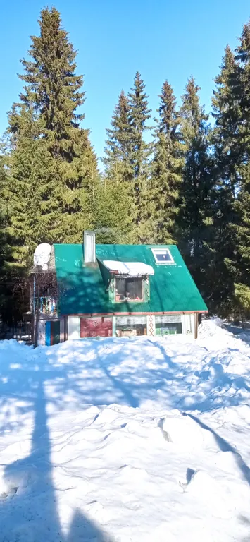 Домик у леса