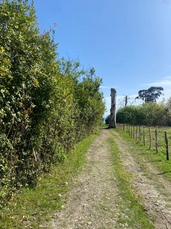 Улучшенный номер с видом на море