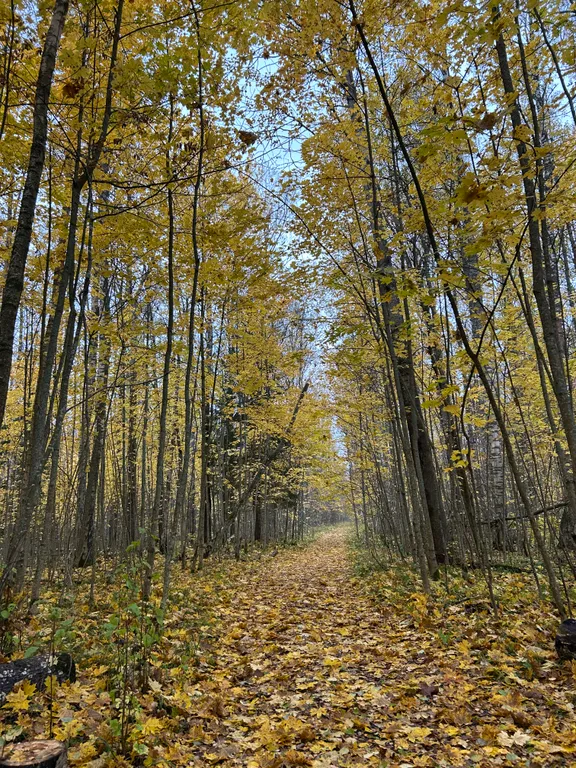 Дом у озера