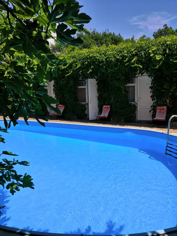 Квартира Комната — Геленджик