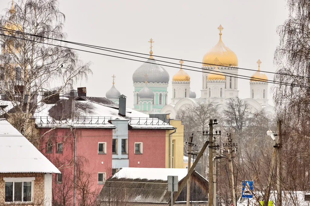 Уютные апартаменты с видом на Серафимо-Дивеевский монастырь