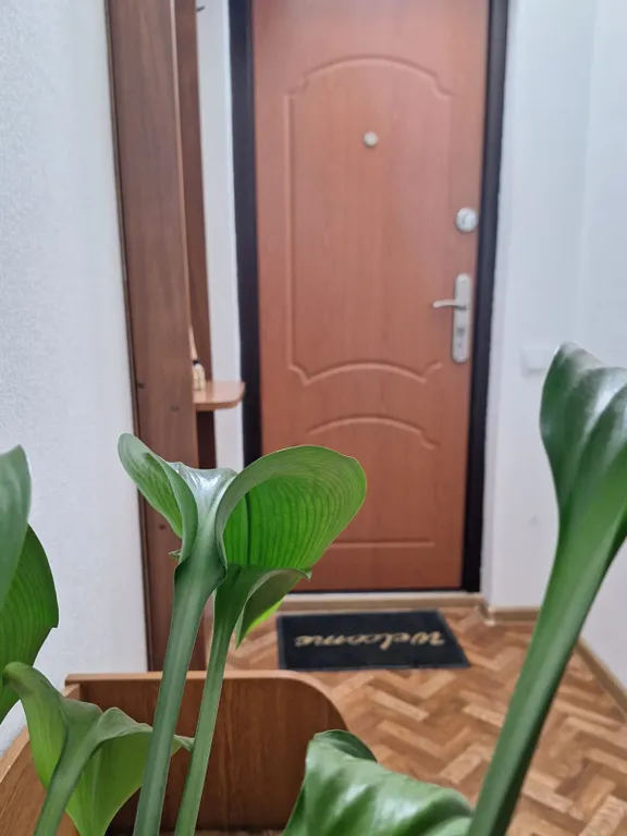 Красивая квартира в самом центре у метро