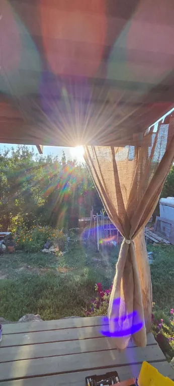 Дом-берлога в лесу с видом на горы