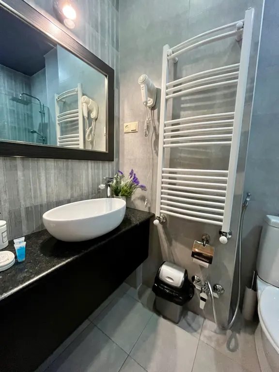 Rustaveli Modern Apartment Center of Tbilisi