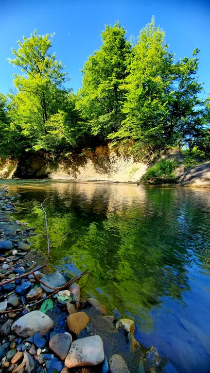 Барн-хаус 2+1 в тишине у леса и горной реки