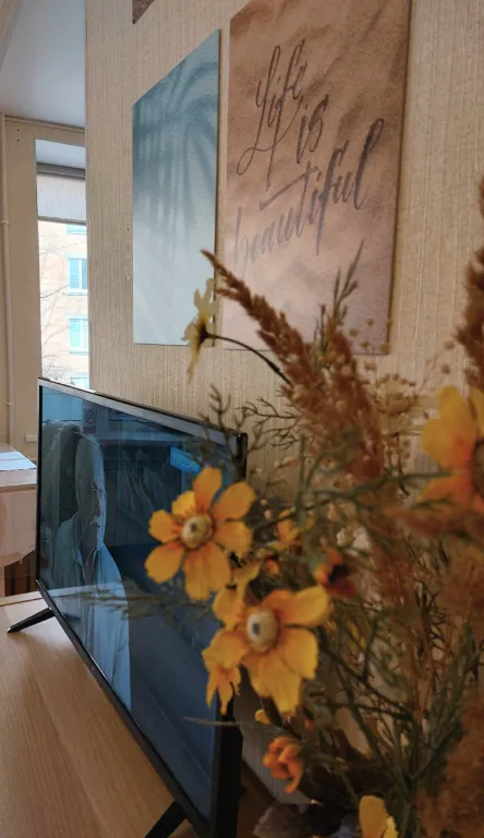 Квартира Квартира Уютная евродвушка в самом центре города — Кронштадт