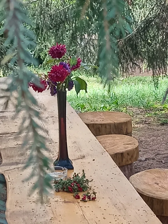 Целый этаж под ключ с видом на горы и лес Лодж