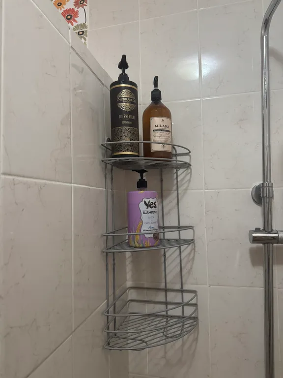 В центре города большая, атмосферная квартира с лужайкой