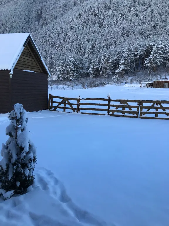 Уютный домик под лесом