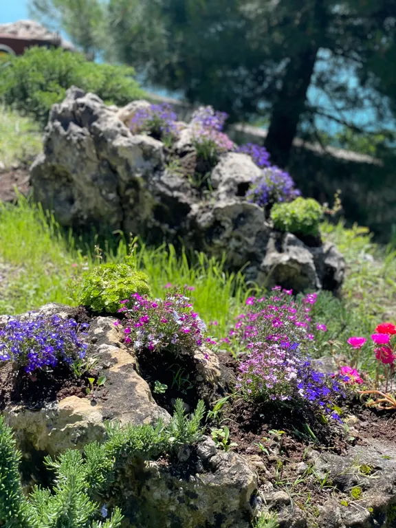 Вилла Диана апартаменты на первой линии моря