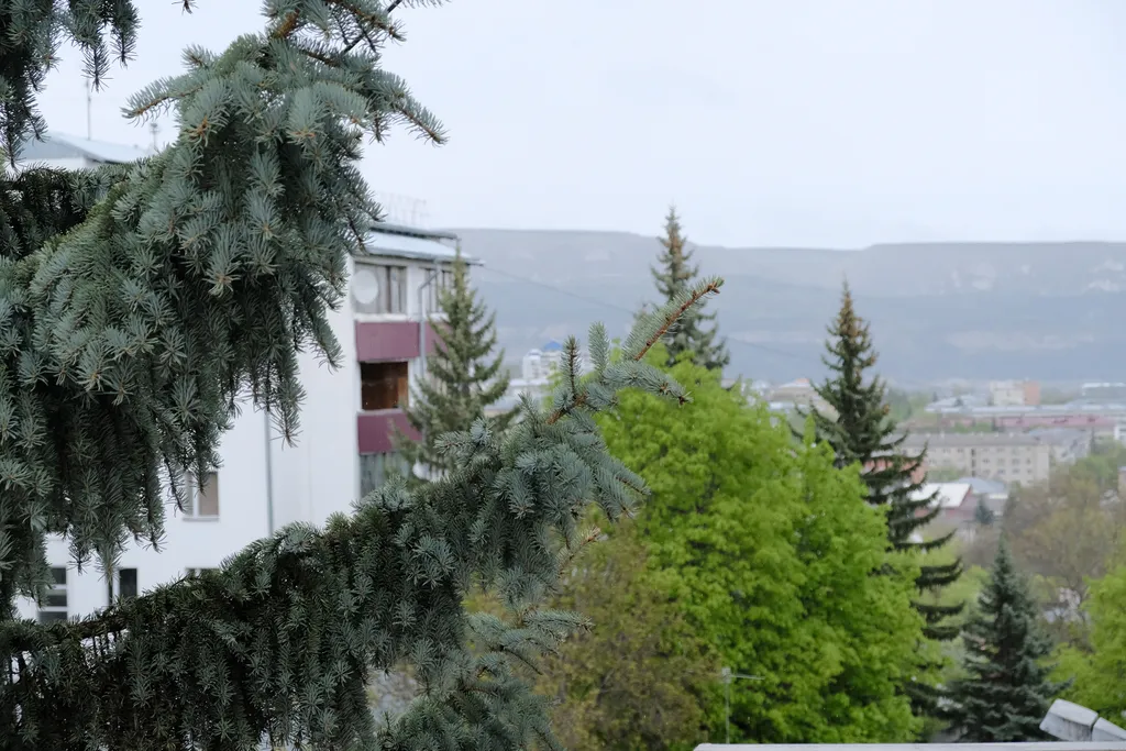 Просторная квартира с панорамным видом