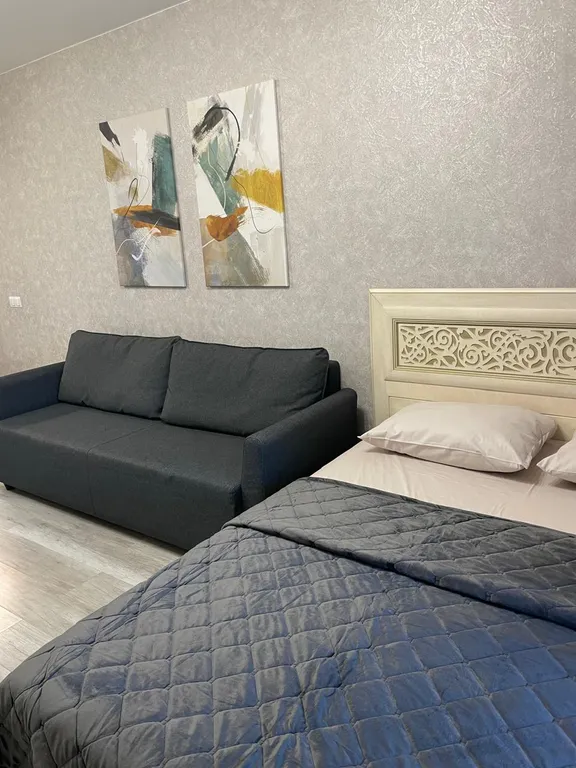 Квартира Квартира Светлая уютная студия в двух шагах от Планеты — Красноярск