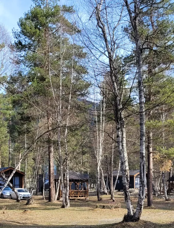 Коттедж Домик в лесу — Архыз