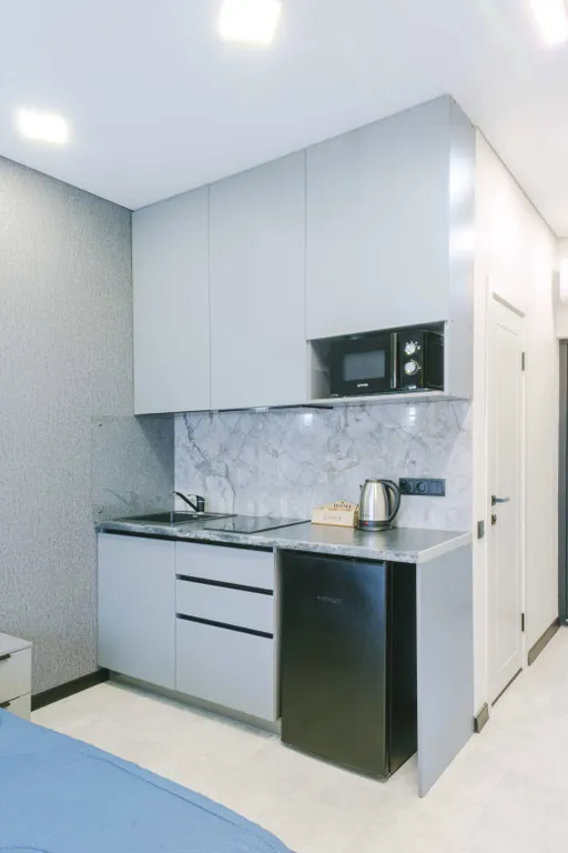 Квартира 1-комнатная Квартира — Сириус