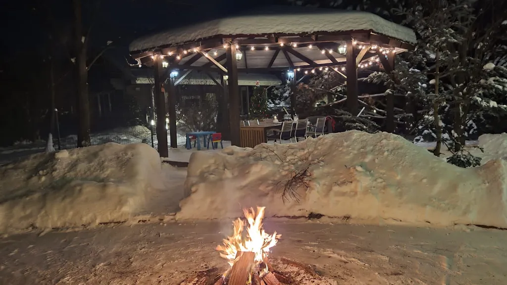 Коттедж Уютный загородный дом в стиле кантри — Борзые