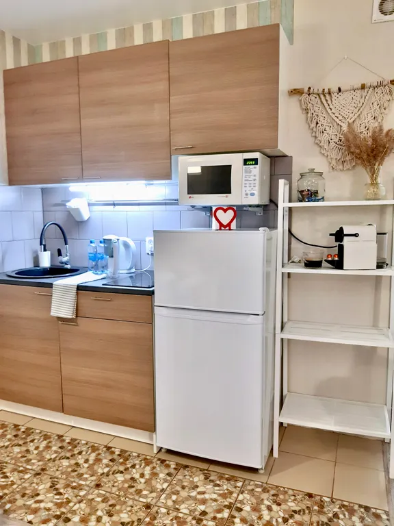 Видовая студия рядом с центром Альбрехта и Мечникова