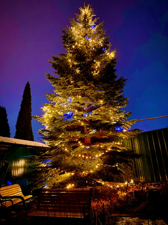 Дом с Баней на дровах и Банным Чаном в прекрасном месте