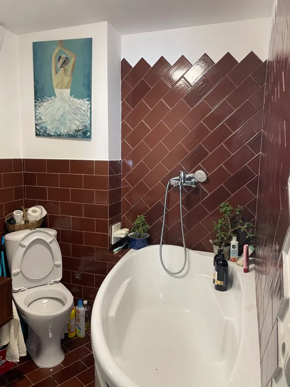 Можжевеловая роща