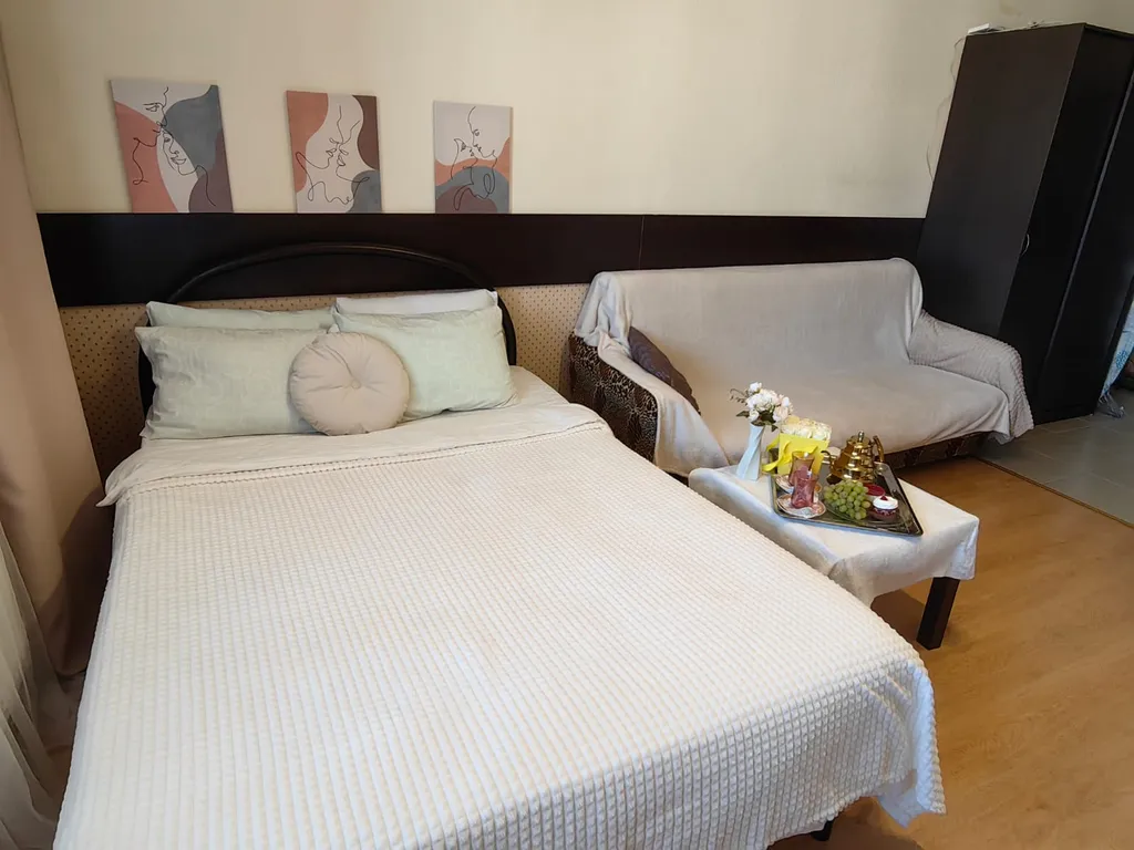 Уютная видовая студия у метро